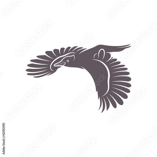 Woodpecker bird design vector illustration  Creative Woodpecker bird logo design concept template  symbols icons