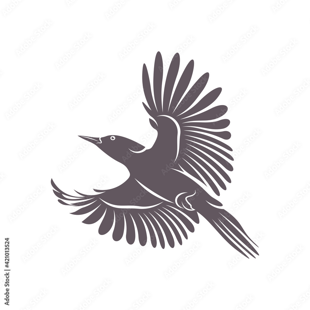 Fototapeta premium Woodpecker bird design vector illustration, Creative Woodpecker bird logo design concept template, symbols icons