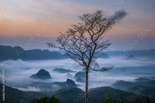 Beautiful scenery during sunrise of Doi Tapang (Doi Ta Pang) Viewpoint at Khao Talu Subdistrict, Sawi District, Chumphon province in Thailand. photo