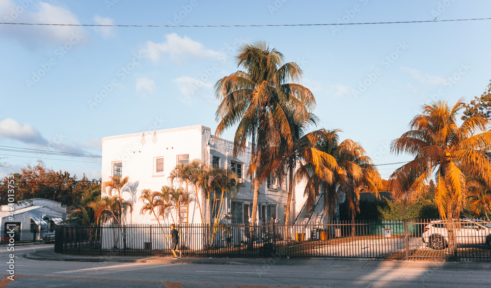 Fototapeta premium building palms tropical view miami florida street road house tourism trees sky cloud 