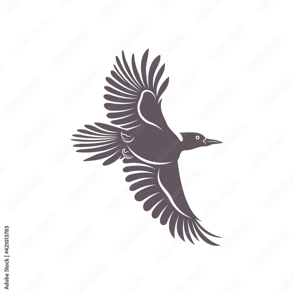 Naklejka premium Woodpecker bird design vector illustration, Creative Woodpecker bird logo design concept template, symbols icons