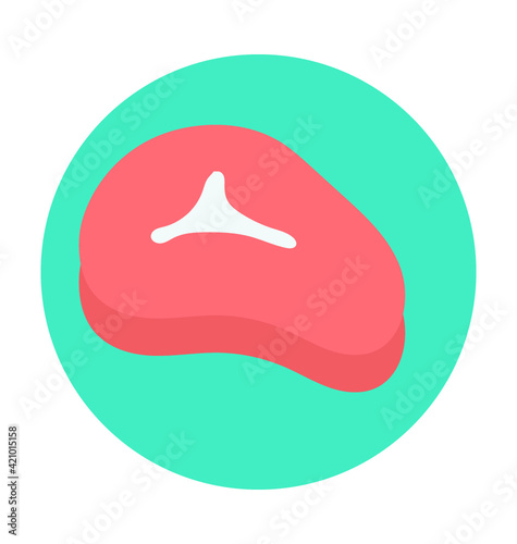 Steak Colored Vector Icon