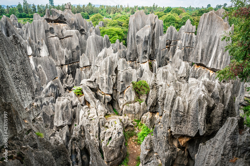 Top scenic panorama of Shilin major stone forest park Yunnan China