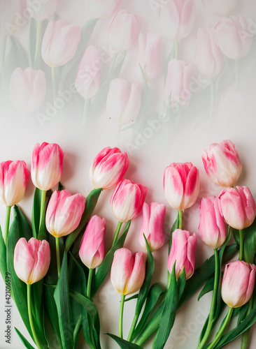 Fototapeta Naklejka Na Ścianę i Meble -  Pink tulip flowers bouquet isolated on white
