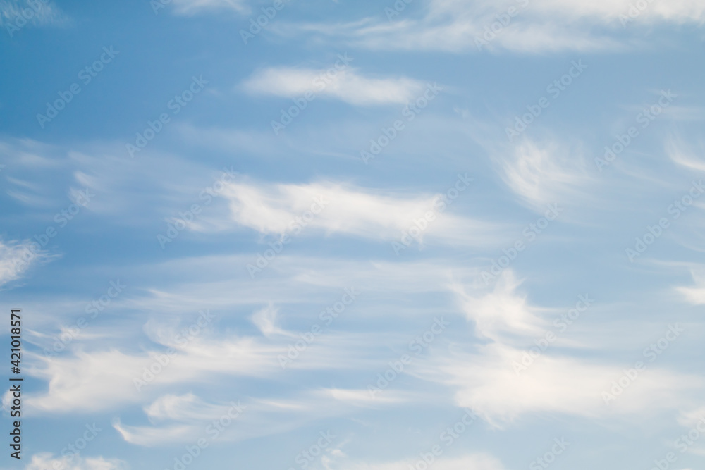 Cirrus clouds in the blue sky. Cirrus clouds in the blue sky.
