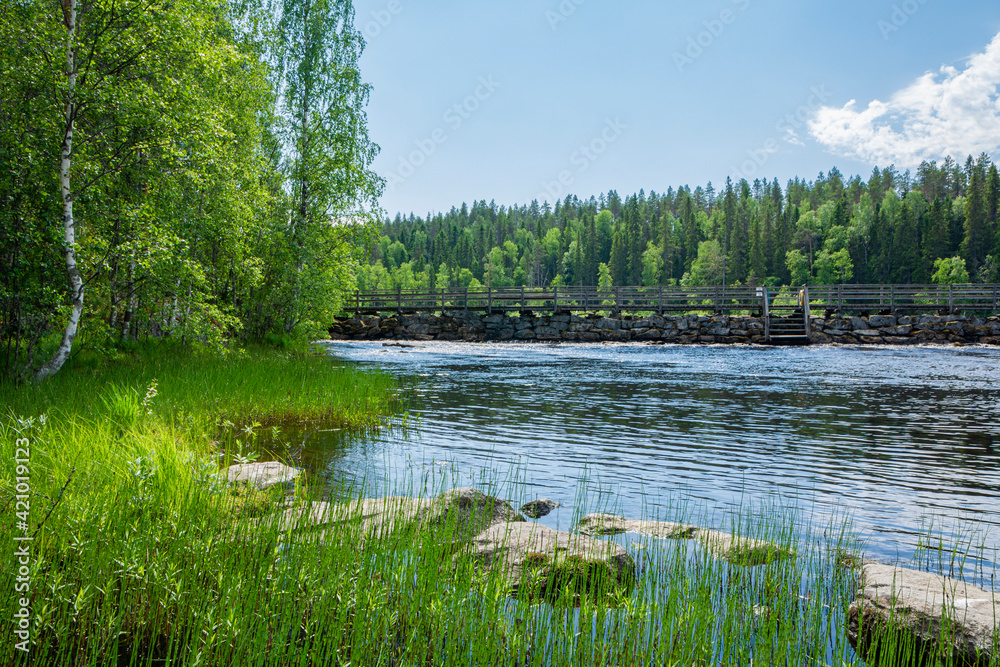 View of the Neitikoski Rapids, part of Ruunaa Rapids, Lieksa, Finland
