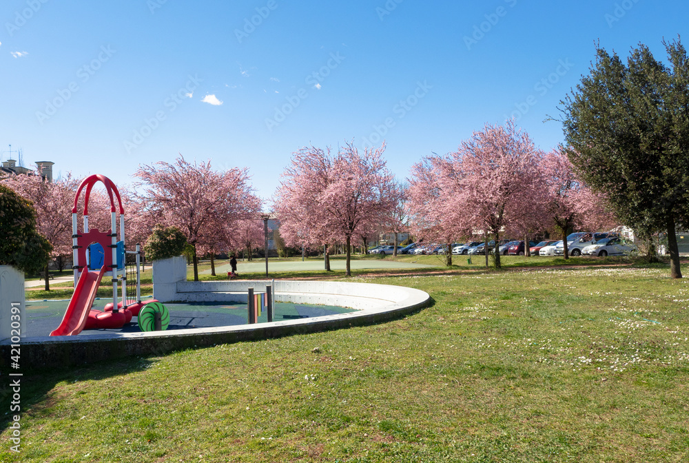 flowering in the public garden with basketball court, chute and other games for children
