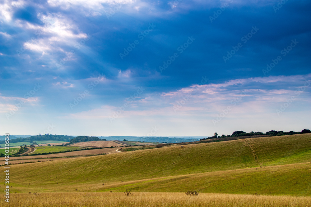 Sunbeams over Field