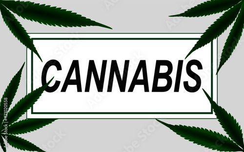 cannabis marijuana background design greenwhite