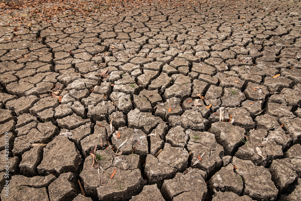 The ground is dried and cracks background. The soil dry land cracked ground surface. landscape, poor soil. The ground is dried and cracks background. The soil dry land cracked ground surface. landscape, poor soil.