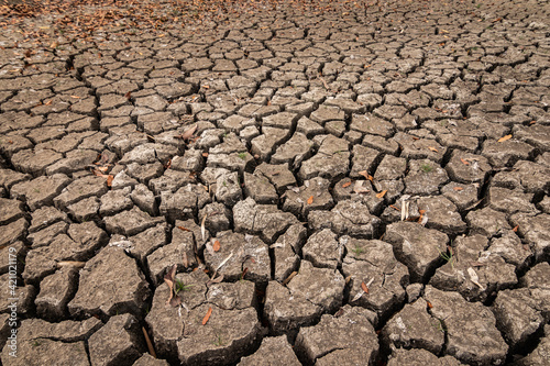 The ground is dried and cracks background. The soil dry land cracked ground surface. landscape, poor soil.