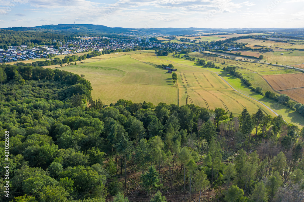 Bird's eye view of forests and meadows in the Taunus / Germany in spring 