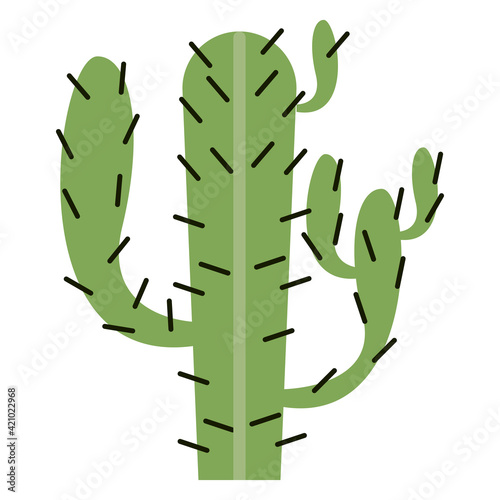 cactus dry plant