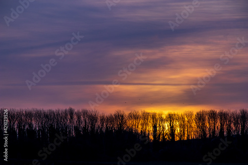 Sunset over the Field
