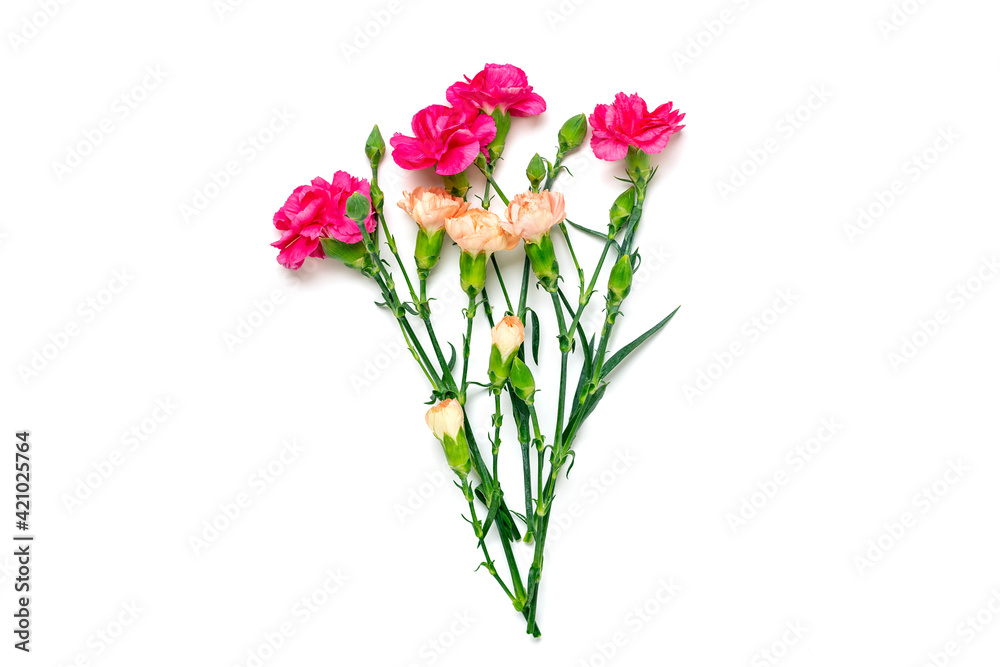 bouquet of pink carnation flower isolated on white background Top view Flat lay Holiday card 8 March, Happy Valentine's day, Mother's, Memorial, Teacher's day concept Copy space	