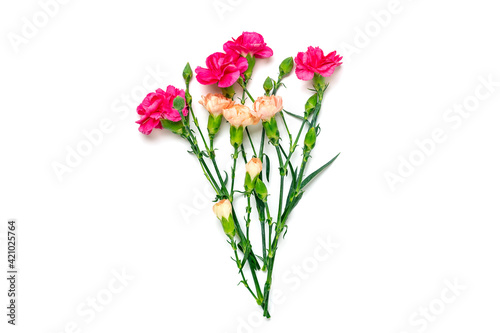 bouquet of pink carnation flower isolated on white background Top view Flat lay Holiday card 8 March, Happy Valentine's day, Mother's, Memorial, Teacher's day concept Copy space 
