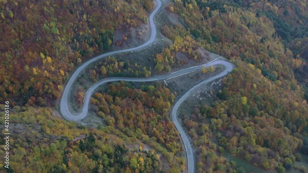 A winding road among the forest view from a drone A winding road among the forest view from a drone