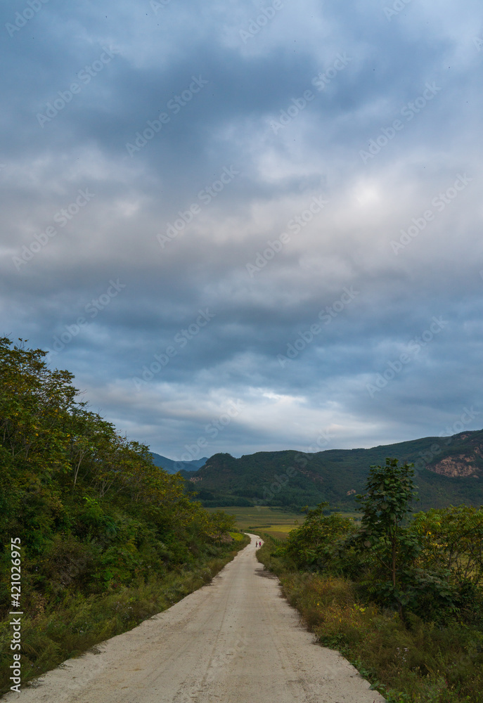 A path by the corn field at the foot of the mountain