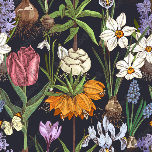Seamless pattern of hand drawn bulbous flowers