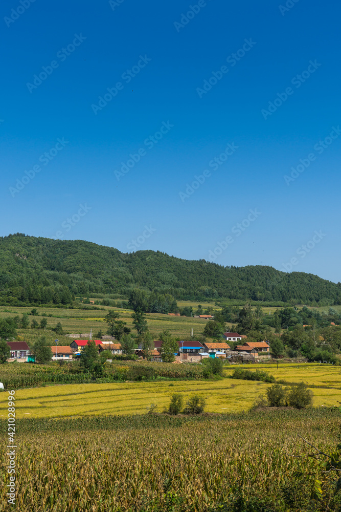Fields at the foot of the mountain in autumn Fields at the foot of the mountain in autumn