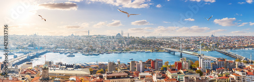 Obraz na płótnie Istanbul panorama, bridges and the Golden Horn, skyline view w salonie