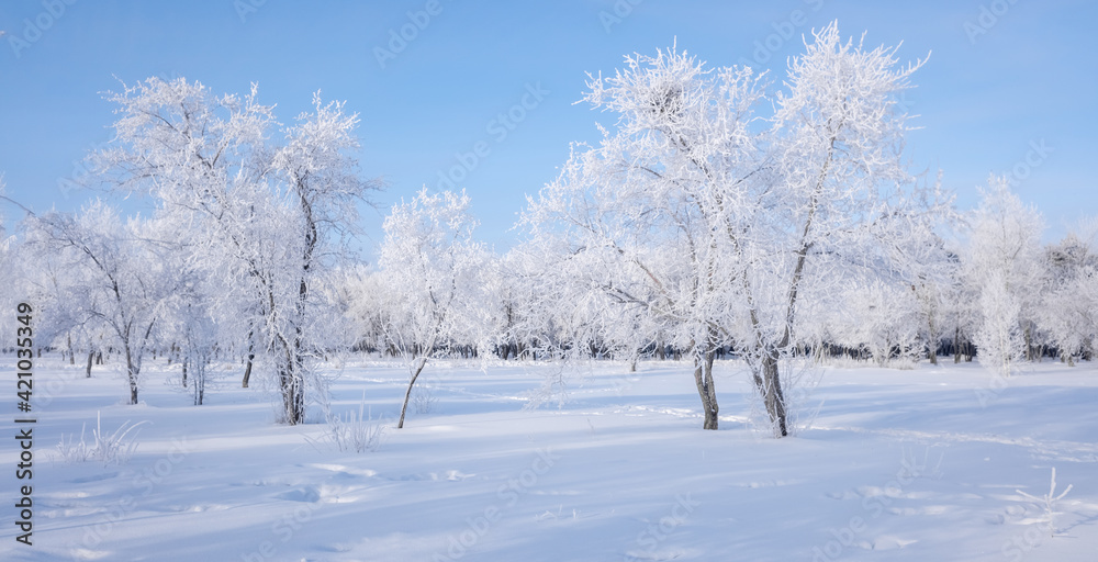 Beautiful winter landscape with snow-covered trees. Blue sky and textured snow. Winter's tale. Beautiful winter landscape with snow-covered trees. Blue sky and textured snow. Winter's tale.