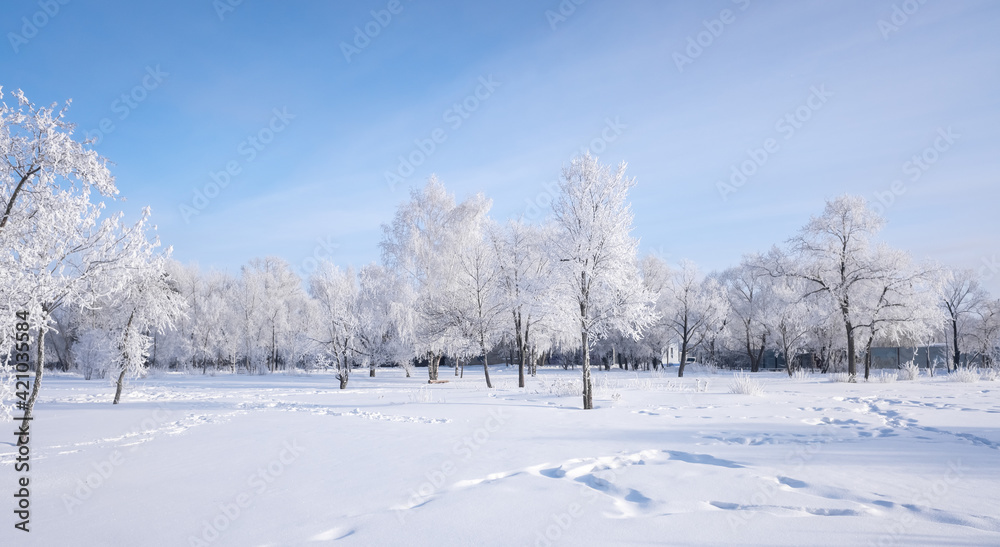 Beautiful winter landscape with snow-covered trees. Blue sky and textured snow. Winter's tale.