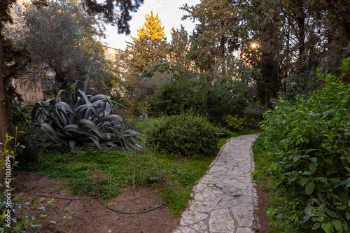 Evening  view of public city park with green vegetation a quiet residential Sokolov Street in the old district of Jerusalem Talbia - Komiyut in Jerusalem, Israel photo