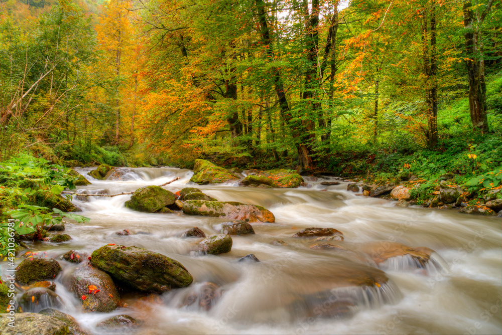 Water flowing long exposure in forest. Water flowing long exposure in forest.