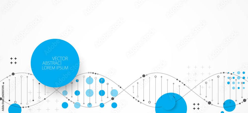 Obraz premium Science template, wallpaper or banner with a DNA molecules. Vector