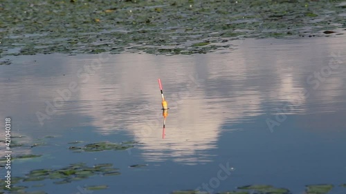 Closeup shot of a bright fishing bobber slightly moving on water surface of the lake