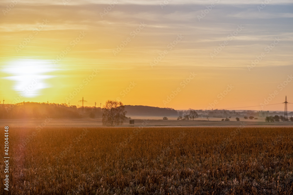 Sunrise or sunset over a field in spring