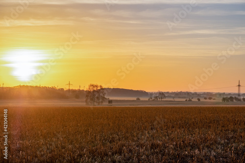 Sunrise or sunset over a field in spring