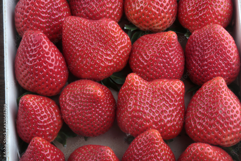 red strawberry as sweet dessert fruit red strawberry as sweet dessert fruit