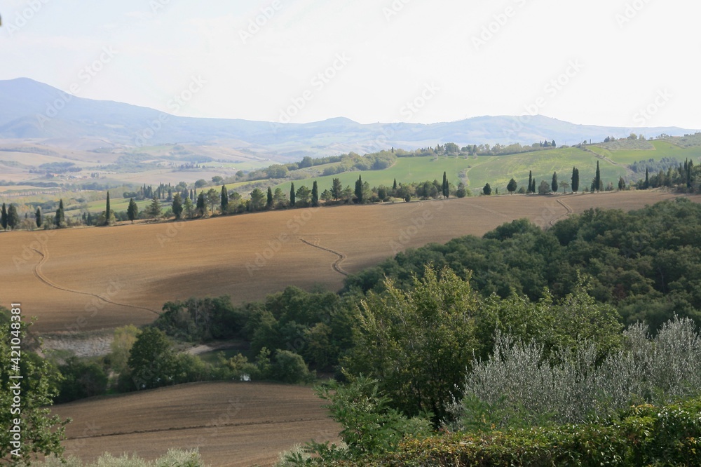 Typical Tuscan landscape, Val d'Orcia, Tuscany, Italy 