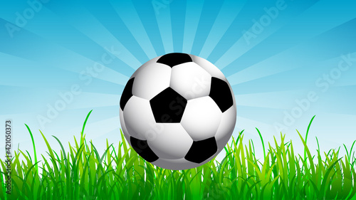 Soccer ball on the background of grass and sky  vector art illustration.