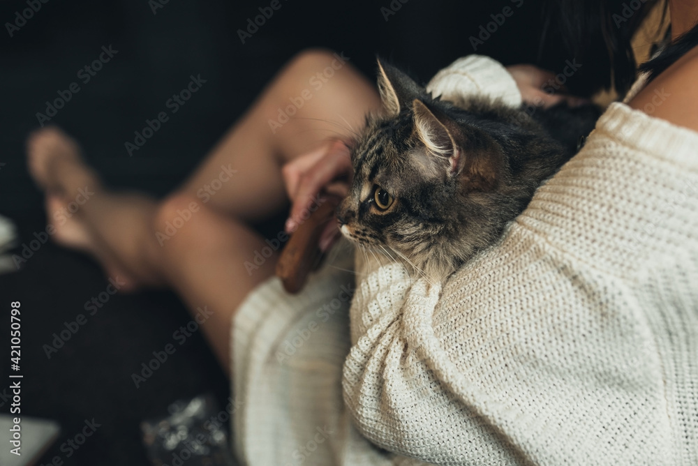 Obraz premium the cat is sitting in the girl's arms