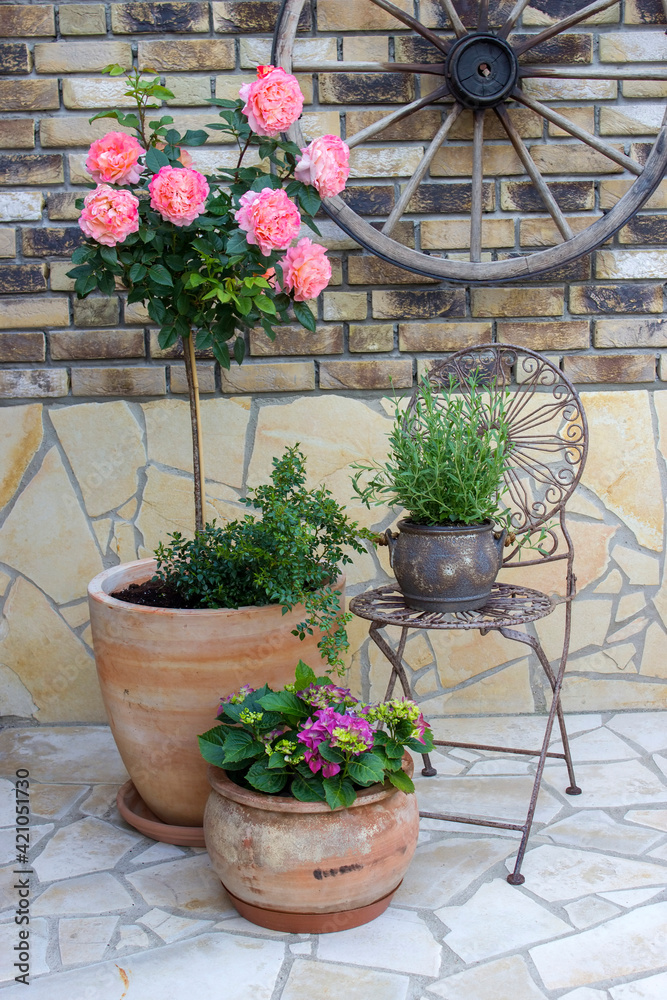 beautiful place in the garden in the mediterranean style, pots with flowers and chair