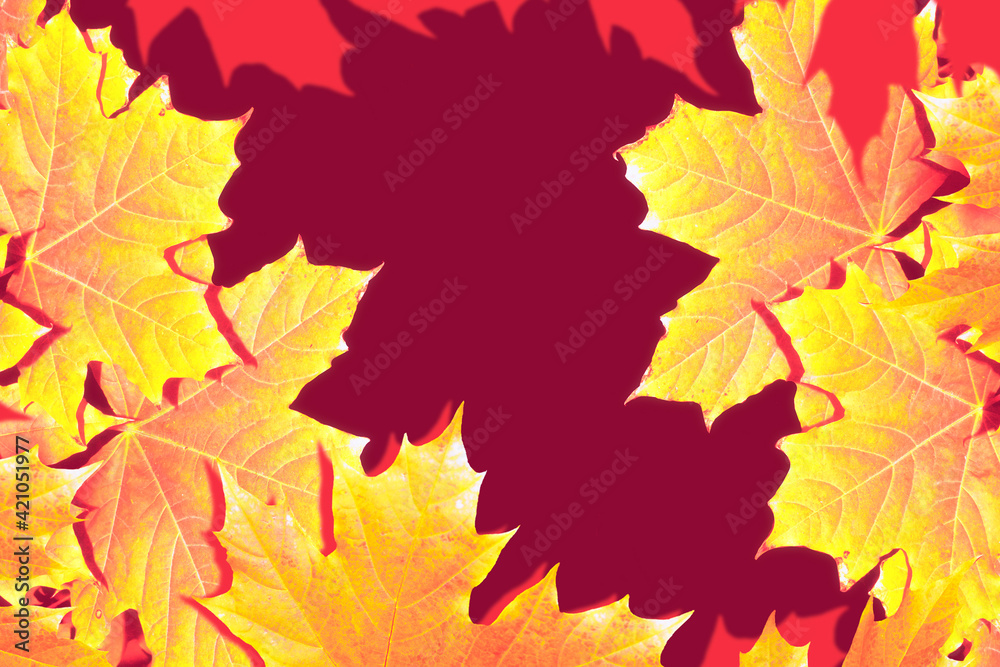 Obraz premium autumn landscape with bright colorful foliage. Indian summer.