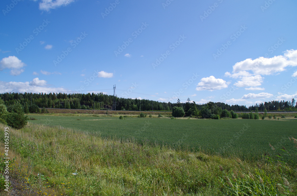 Fototapeta premium landscape with sky and clouds