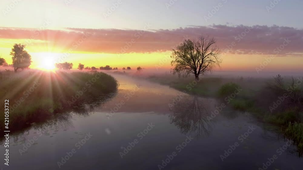 Fog morning over the plain and river floodplain of the meadow