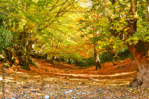 autunno nel Parco dei Monti Lucretili