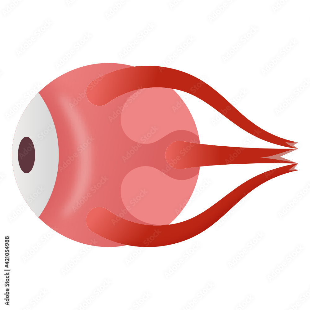 Modern design of eye anatomy icon
Modern design of eye anatomy icon