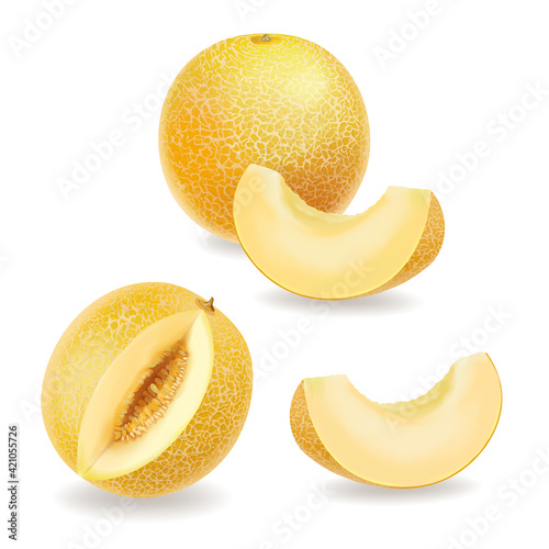 Melon, realistic yellow ripe melon slices set. vector icon