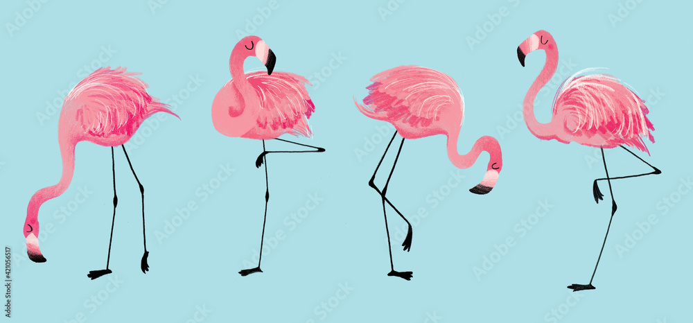 Obraz premium Pink flamingo illustration
