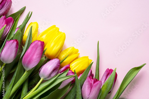 Fototapeta Naklejka Na Ścianę i Meble -  Beautiful romantic bouquet of purple and yellow tulips on a pale pink background . Lots of tulips, large bouquet. Copy space. Space for text.