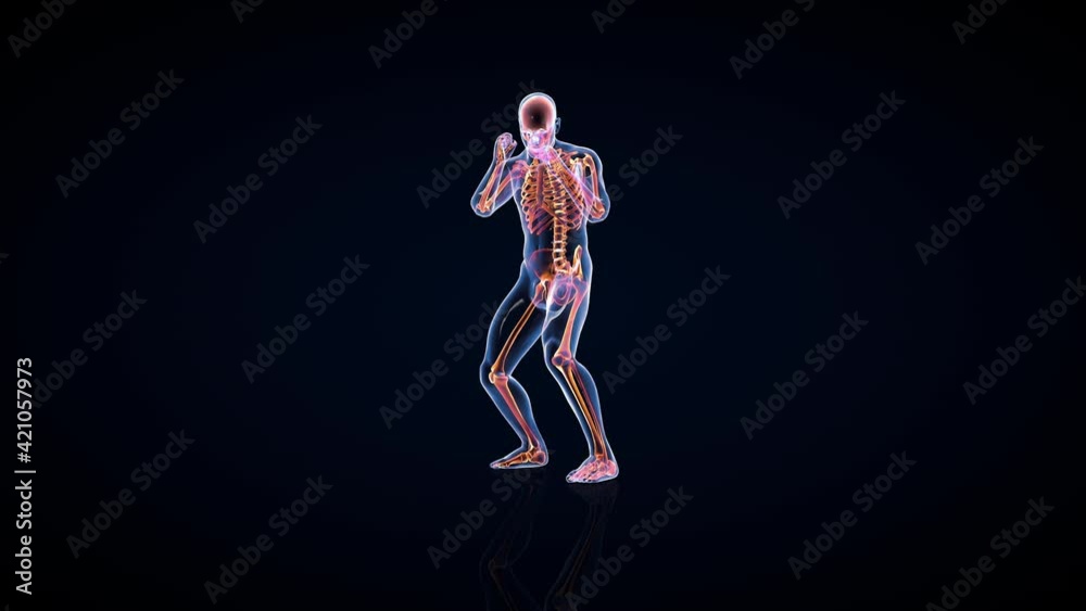 Athlete X-Ray Boxing, Front View, Seamless Loop, Luma Matte Attached