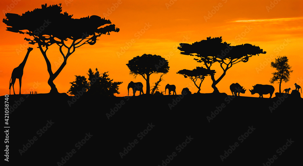 Animals in the savannah