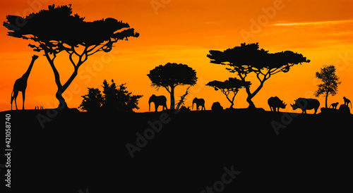 Animals in the savannah