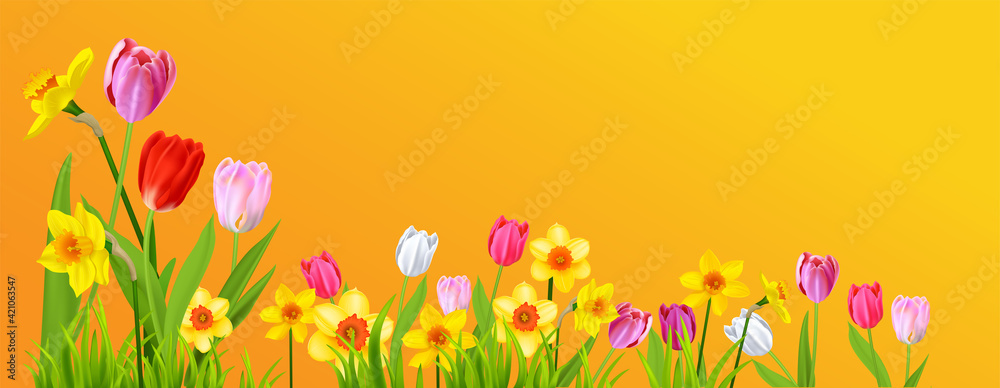Holiday spring yellow banner Holiday spring yellow banner